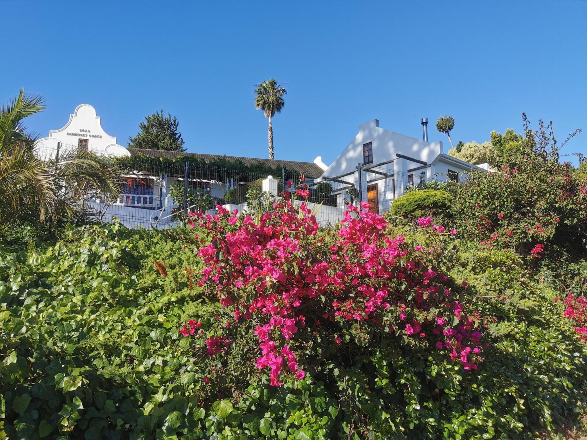 Somerset Grace Cottage Somerset West Exterior foto